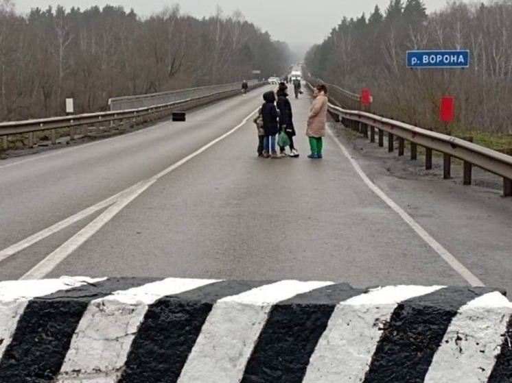 Временно нельзя: мост через Ворону в Умёте закроют и для пешеходов