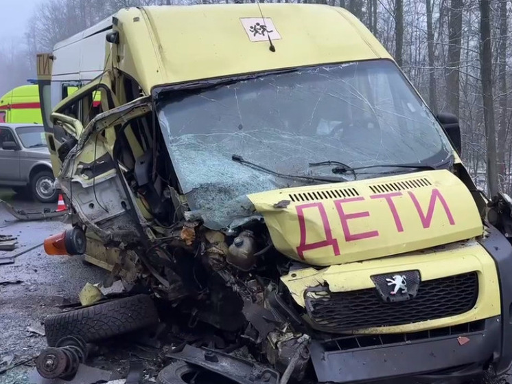 Десять детей и одиннадцать взрослых пострадали в жесткой аварии под Брянском