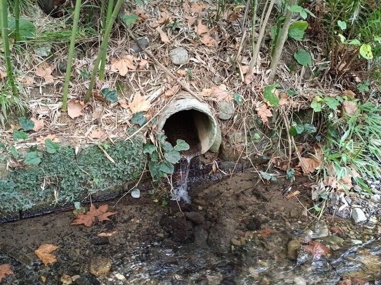 МЦУ: в Сочи в ходе рейда обнаружили несанкционированный сброс стоков в ручей в районе Курортного проспекта