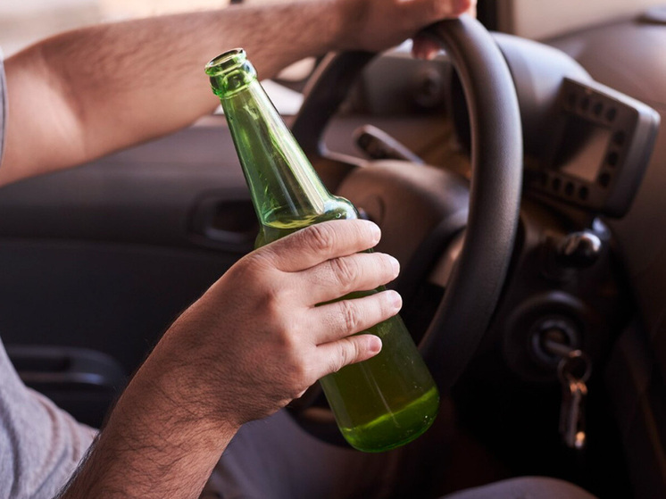 В Липецкой области нетрезвый водитель попытался дать взятку инспекторам ДПС