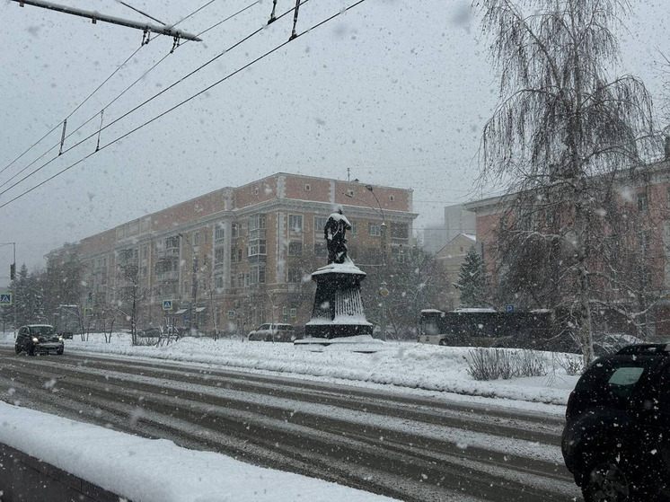 Снежные бури ожидаются в Алтайском крае 17 декабря