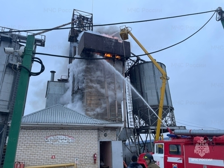 В Орловской области загорелась металлическая сушилка