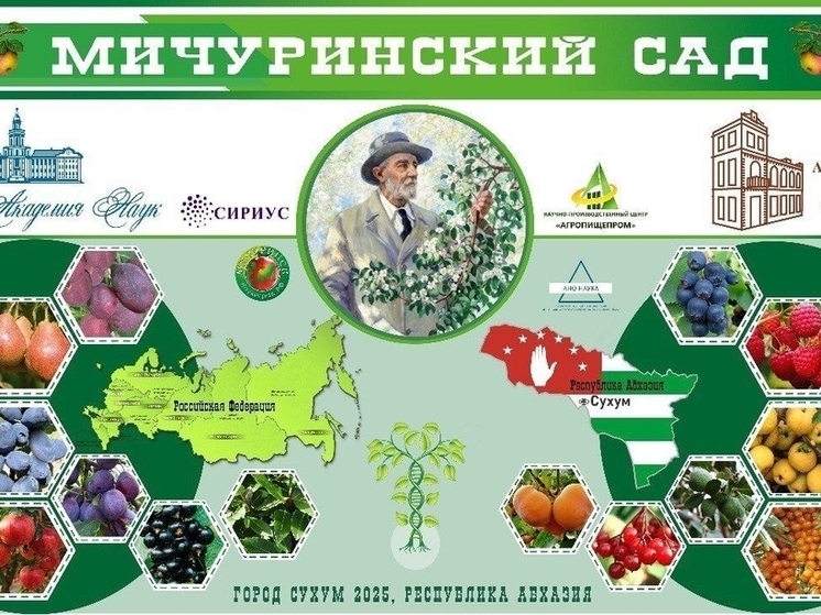 Под солнцем Абхазии зацвёл «Мичуринский сад»: тамбовские учёные представили уникальные сорта