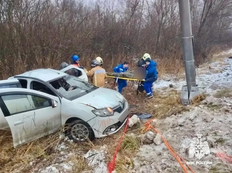 Машина врезалась в фонарный столб: трое мужчин пострадали в ДТП под Тверью