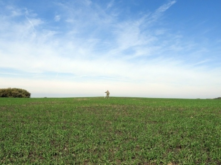 Путь в бронзовый век: тамбовские археологи завершили сезон, обнаружив десятки древних курганов