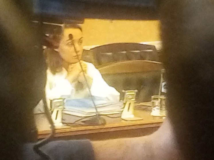 Дело Долиной будут рассматривать в открытом режиме