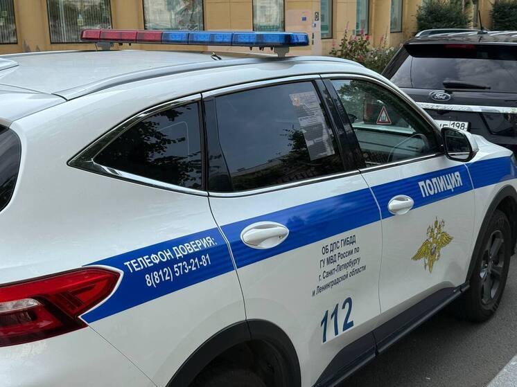 После инцидента в школе Петербурга дело завели на сотрудницу охраны