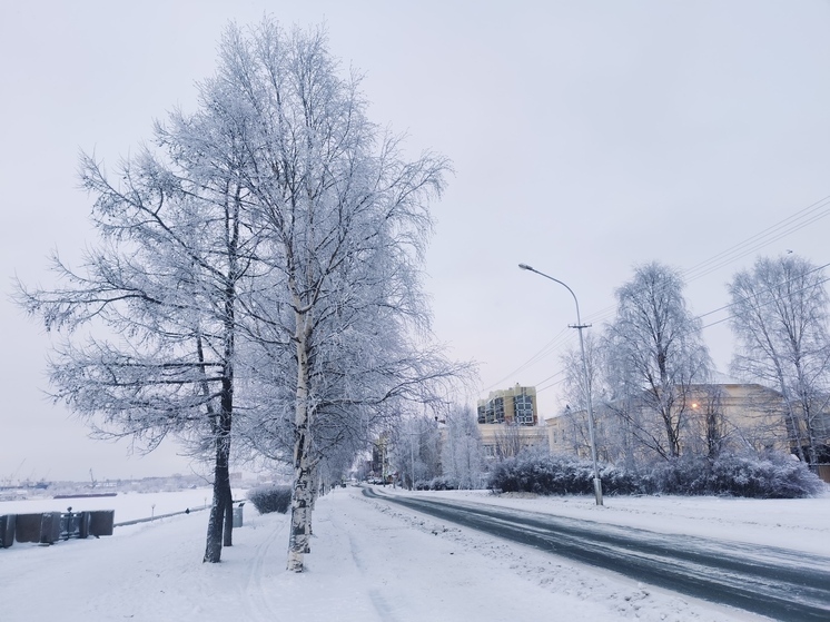 Из Архангельска за сутки вывезли почти тысячу тонн снега