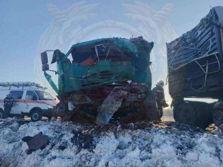 В столкновении двух КамАЗов в Татарстане погиб водитель одного из них