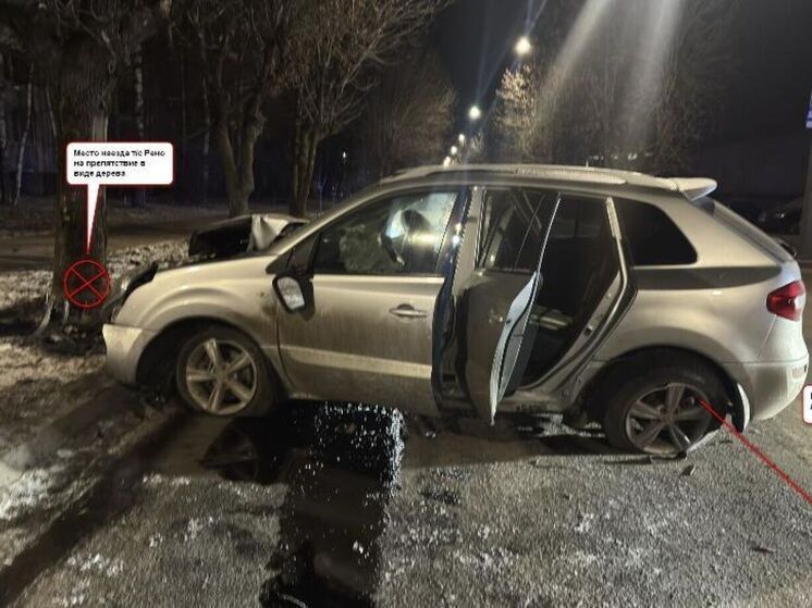 Костромские ДТП: «Рено» врезался в дерево