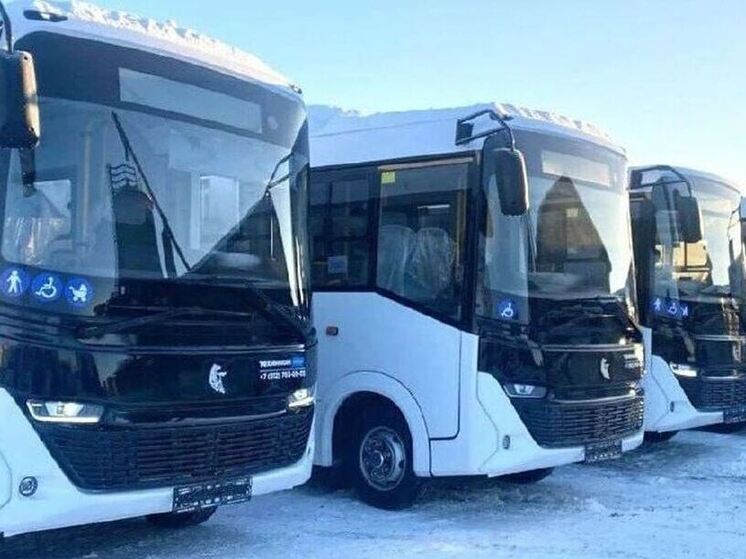 В Ленобласти заменят около 800 старых автобусов на новые