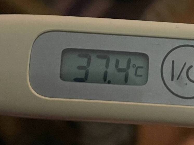 В Петербурге закрыли 410 школьных классов из-за ОРВИ и гриппа