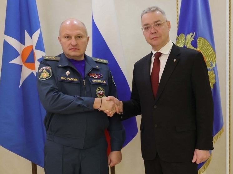 Владимир Владимиров обсудил с главой МЧС России вопросы пожарной безопасности Ставрополья