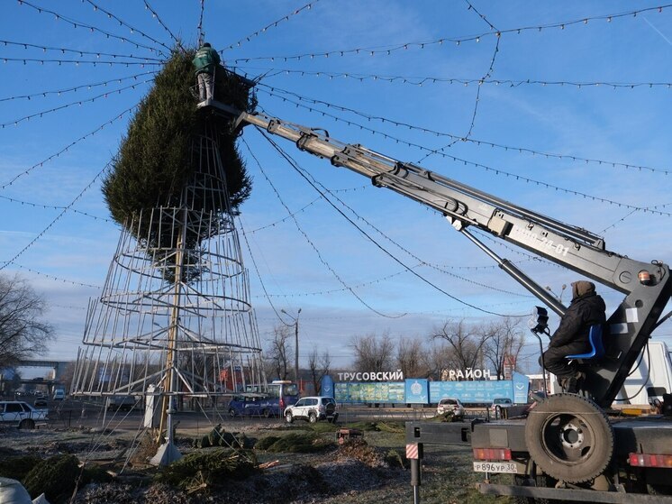 На разворотном кольце Мостстроя в Астрахани собирают живую новогоднюю ель