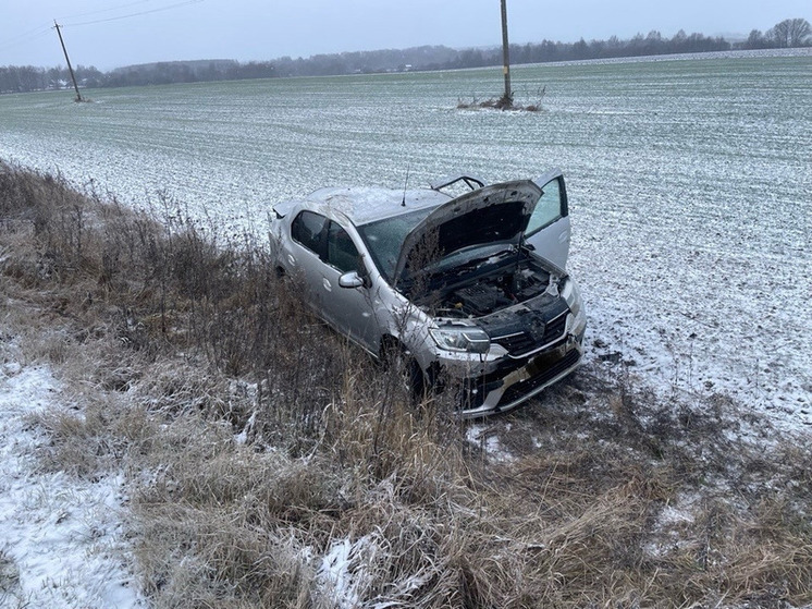 Под Орлом 22-летний автомобилист перевернулся в кювет