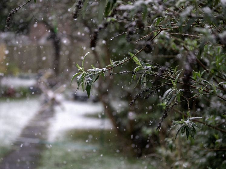 Липецкая область готовится к скользким дорогам 17 декабря