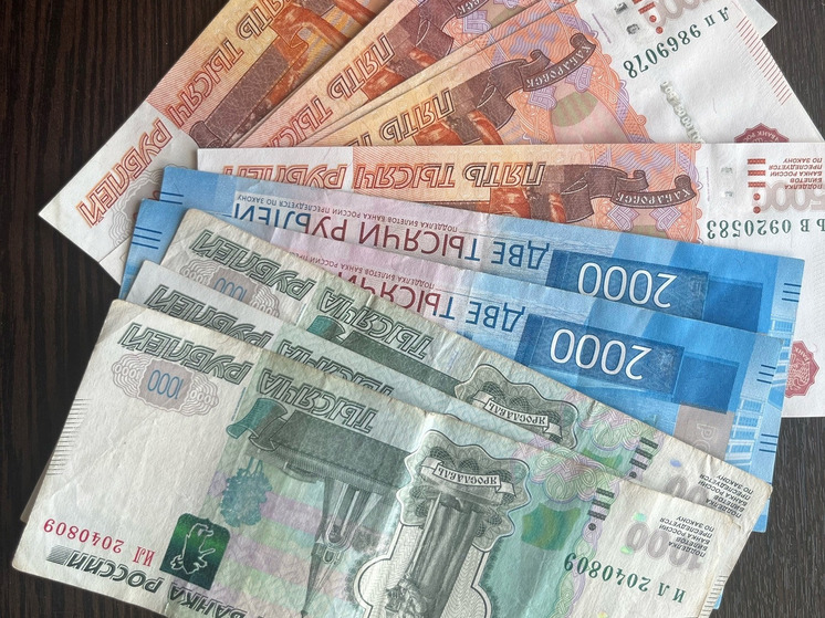 Орловская полиция раскрыла кражу 800 тысяч с карт столичной фирмы