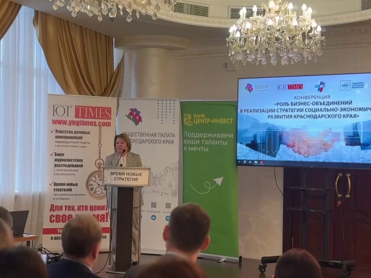 Кубанская общественная палата выступила организатором конференции в рамках программы «Время новых стратегий»