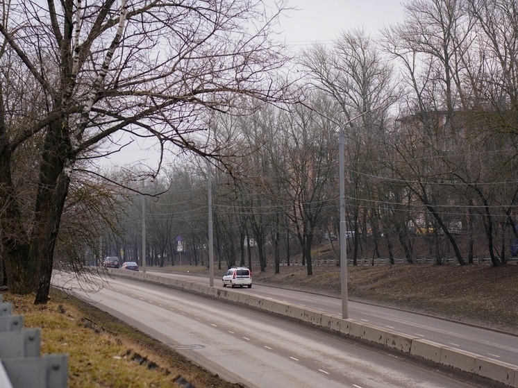 С начала декабря тульским водителям влепили штрафов на 315 тысяч