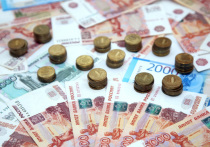 В январе будущего года у россиян, работающих на пятидневке, будет всего 15 рабочих дней. И, соответственно, их ждет существенное снижение зарплаты за этот месяц. Это традиционная история, но все равно она возникает неожиданно, когда после новогодних праздников выясняется, что в карманах пусто. Как нивелировать эту проблему, чтобы в начале года не экономить в большом и в малом?
