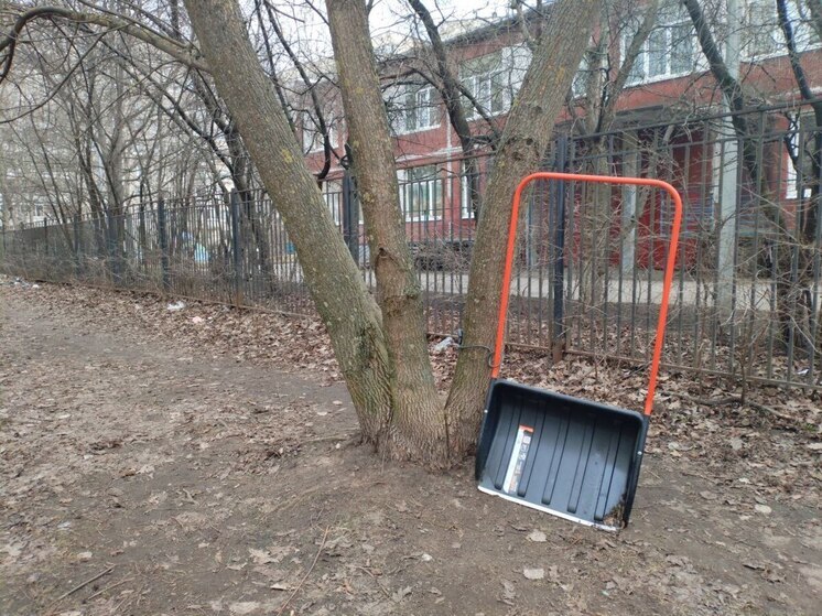 Приморский район Петербурга доверили дворникам из Индии из-за дефицита кадров