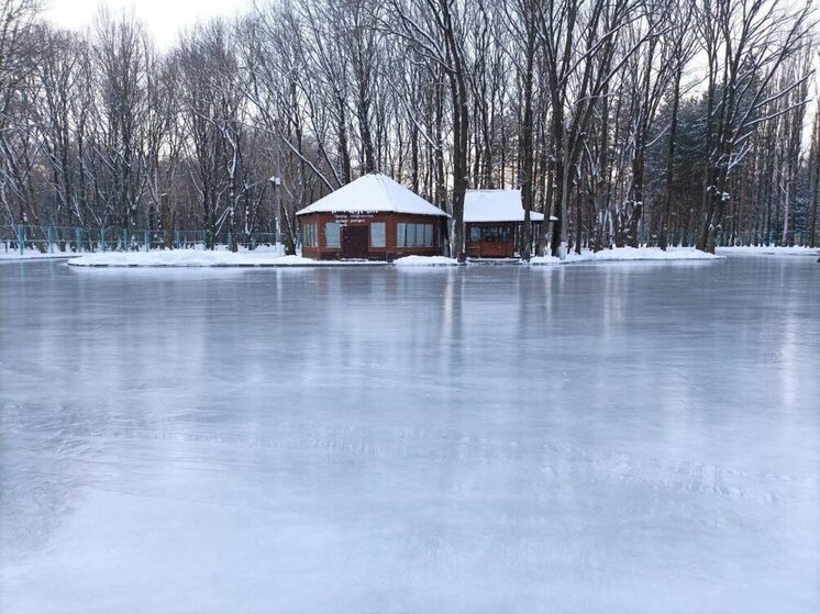 В Автозаводском парке 17 декабря откроется каток «Катушка»
