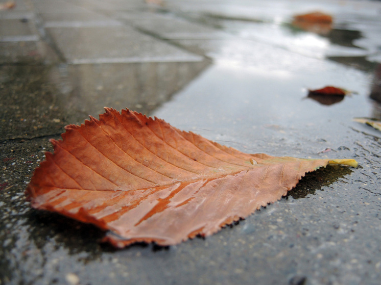 Пенсионер из Великобритании был оштрафован на 250 фунтов за мусор после того, как выплюнул на землю то ли листик, то ли травинку, случайно залетевшую ему в рот на ветру