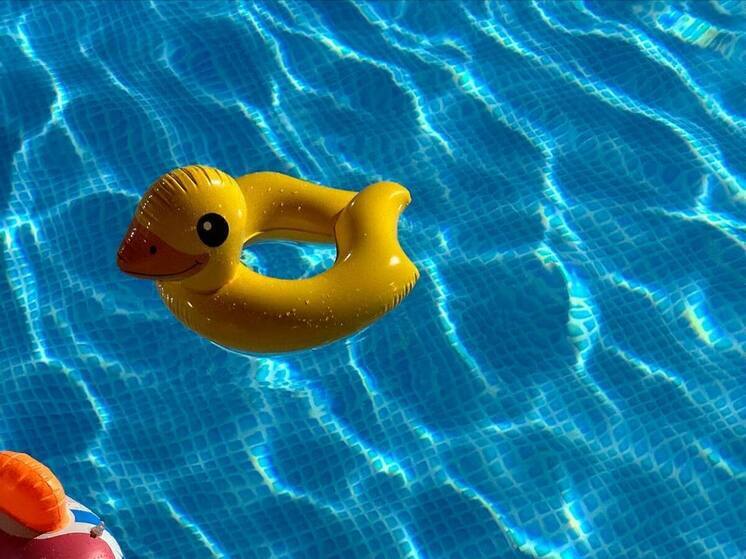 Спортшкола в Полярных Зорях незаконно сдавала в аренду бассейн