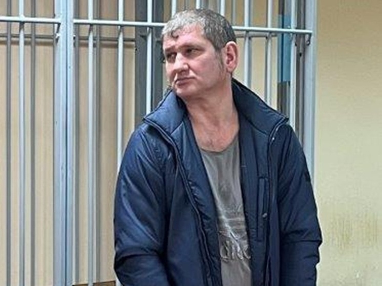 В Туле вынесли приговор пьяному водителю, виновному в смерти младенца