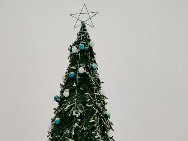 В Липецкой области запустили новогодний смотр-конкурс на лучшее оформление