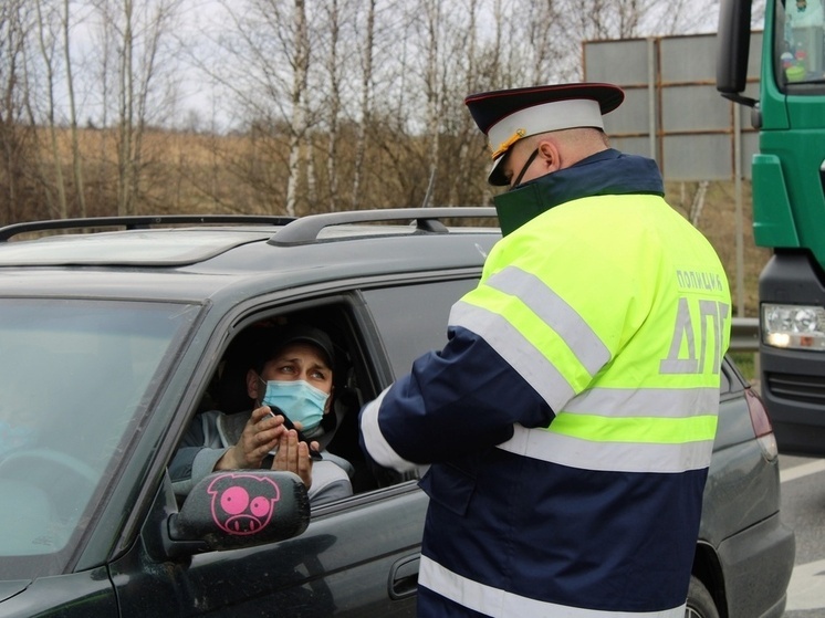 Тулячку лишили прав и оштрафовали за вождение в пьяном виде
