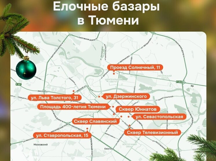 Где в Тюмени купить живую ёлку: адреса ёлочных базаров