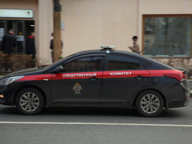 В Успенской школе после нападения подростка нашли муляж взрывного устройства