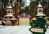 На первый взгляд зима может показаться периодом безделья, однако и это время года при должном подходе можно проводить и весело, и с пользой