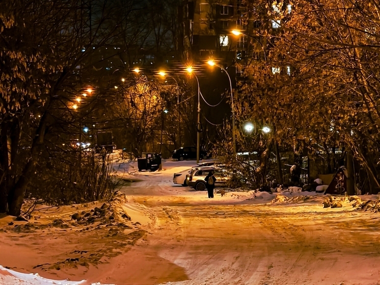 Снег и морозы до -23°С придут в Томскую область 17 декабря