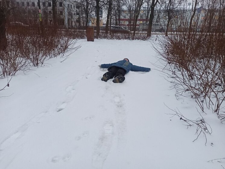 Во Владимирской области за сутки потеплеет сразу на 8 градусов