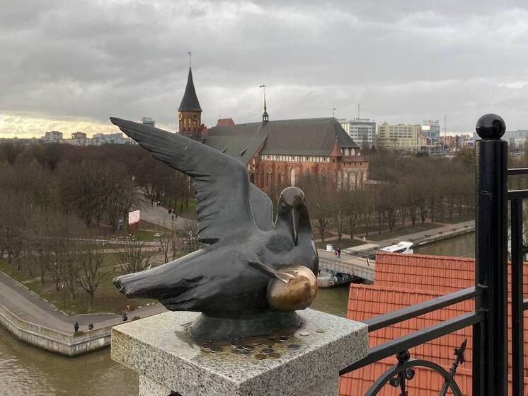 В Калининграде стало на 80 экскурсоводов больше