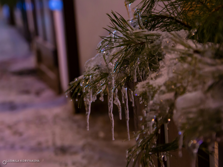 Потеплеет до +6°С в Карелии 17 декабря