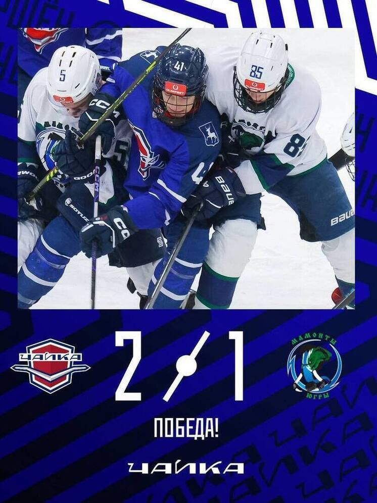 «Чайка» прерывает серию поражений из 3 игр