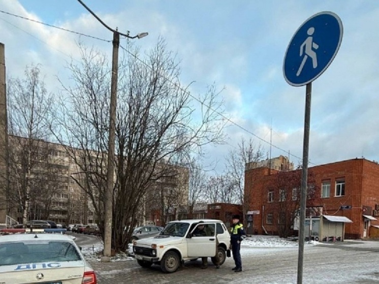 В Петрозаводске усилен контроль за пешеходными зонам