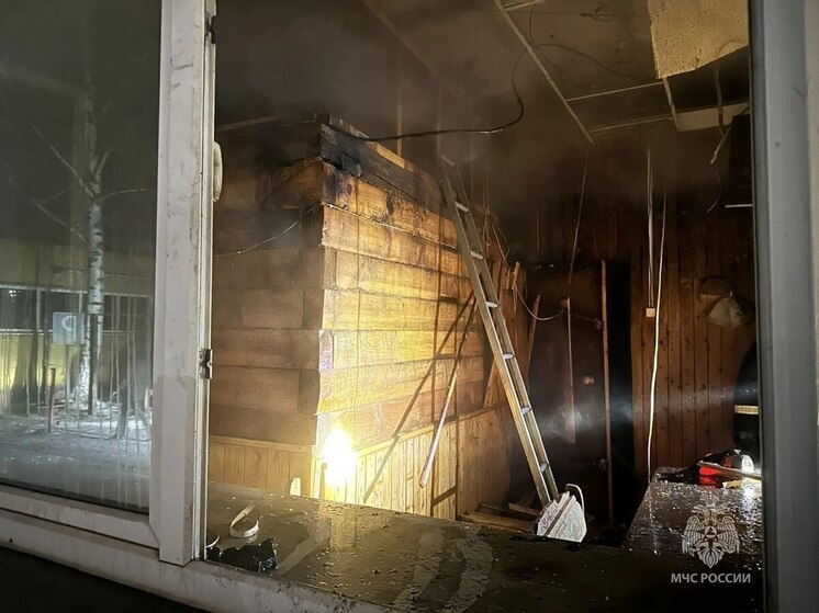 Неправильная печь устроила пожар в сауне Абакана