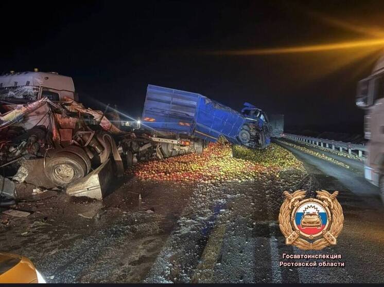 На Дону произошло смертельное ДТП