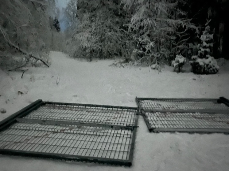 В Костомукше вандалы повредили ограждение вокруг лыжно-биатлонного комплекса