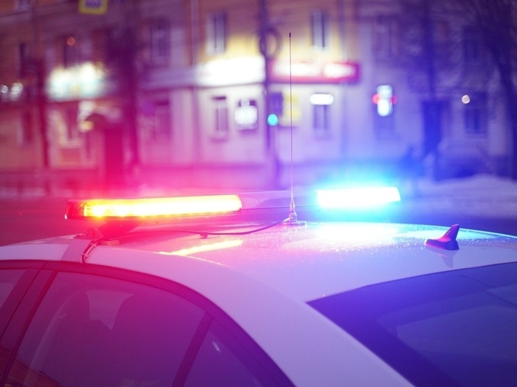 В Тверской области мужчина погиб, ремонтируя машину на трассе