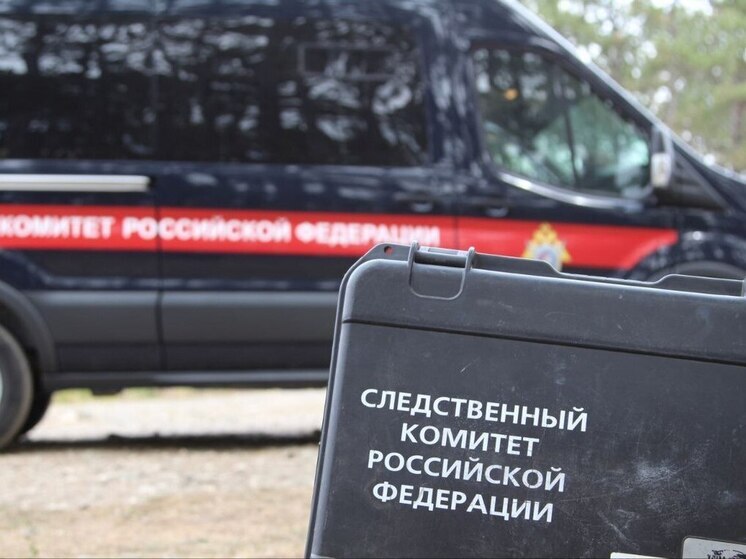 Глава СК РФ взял под контроль аварию с автобусами в Воронежской области