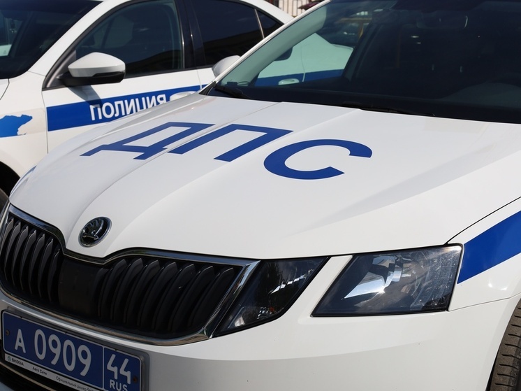 В Костромской области задержана пьяная автоледи с двумя детьми в машине