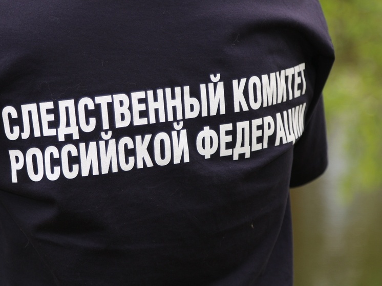 В Костромской области после смерти маленькой девочки возбуждено уголовное дело