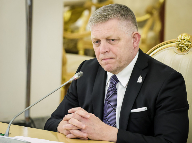 В Словакии пять тысяч человек вышли на протесты против политики Роберта Фицо