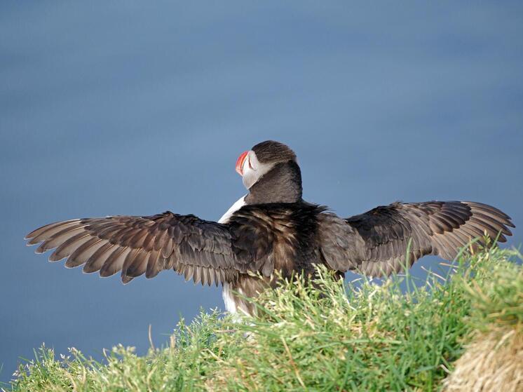 Арктика пережила год рекордной жары и уменьшения морского льда, поскольку северные широты мира продолжают быстрое изменение, становясь более дождливыми и менее ледяными из-за климатического кризиса, сообщили ученые