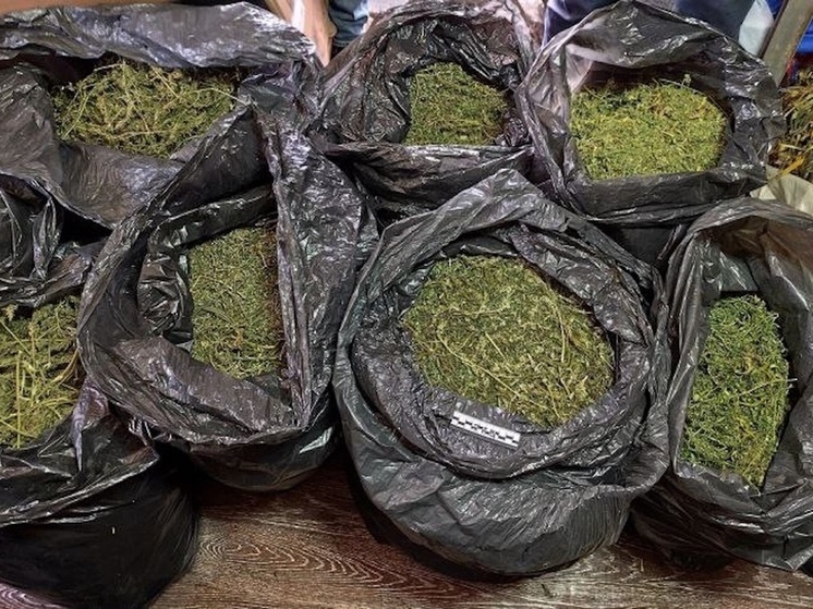 Тайник в селе: у жителя Хабаровского района нашли 35 кг наркотиков